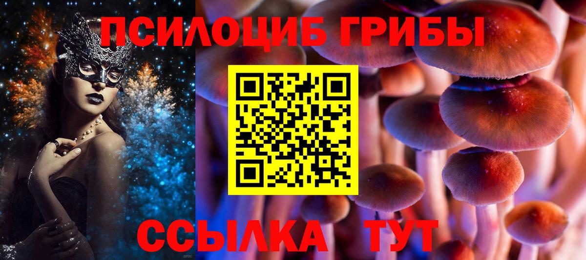 Галлюциногенные грибы Psilocybe  Вход с VPN  наркотики  Магнитогорск 